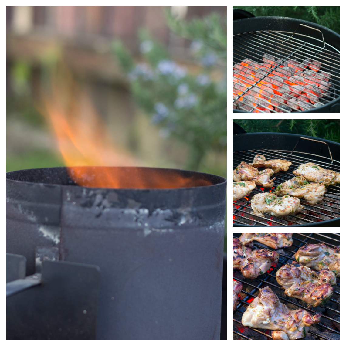 beer soaked grilled chicken grilling